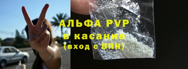 PSILOCYBIN Инта