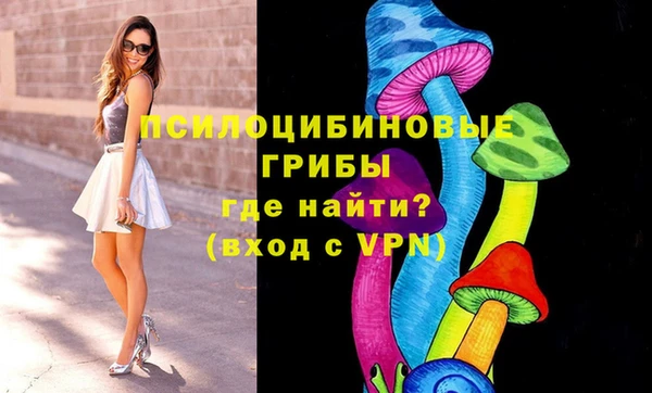 МДМА Инсар