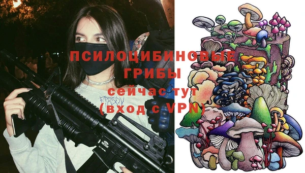 МДМА Инсар